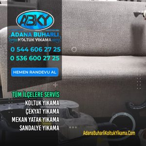 Adana Buharlı Koltuk Yıkama