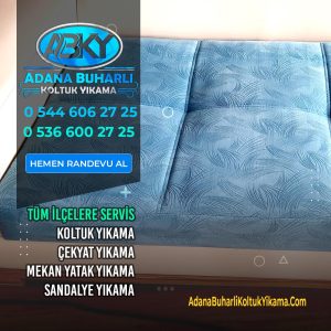 Adana Buharlı Koltuk Yıkama