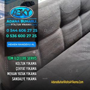 Adana Chaster Buharlı Koltuk Yıkama