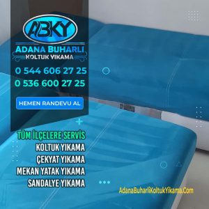 Adana Koltuk Yıkama