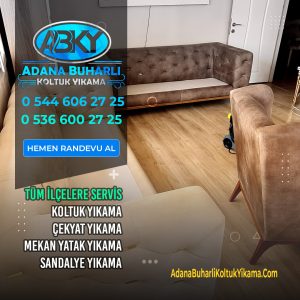 Adana Chaster Buharlı Koltuk Yıkama