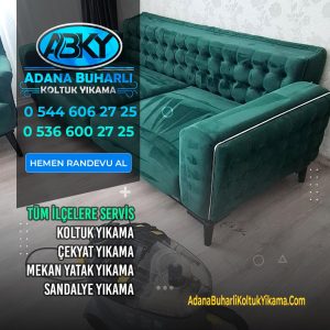Adana Chaster Buharlı Koltuk Yıkama