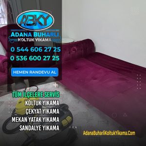Adana Chaster Buharlı Koltuk Yıkama