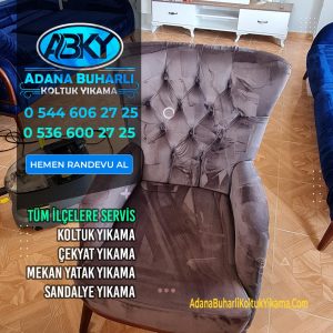 Adana Chaster Buharlı Koltuk Yıkama