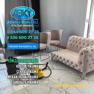 Adana Chaster Buharlı Koltuk Yıkama