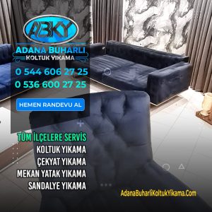 Adana Chaster Buharlı Koltuk Yıkama